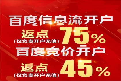 攻略解析：如何利用百度推广抢占市场份额